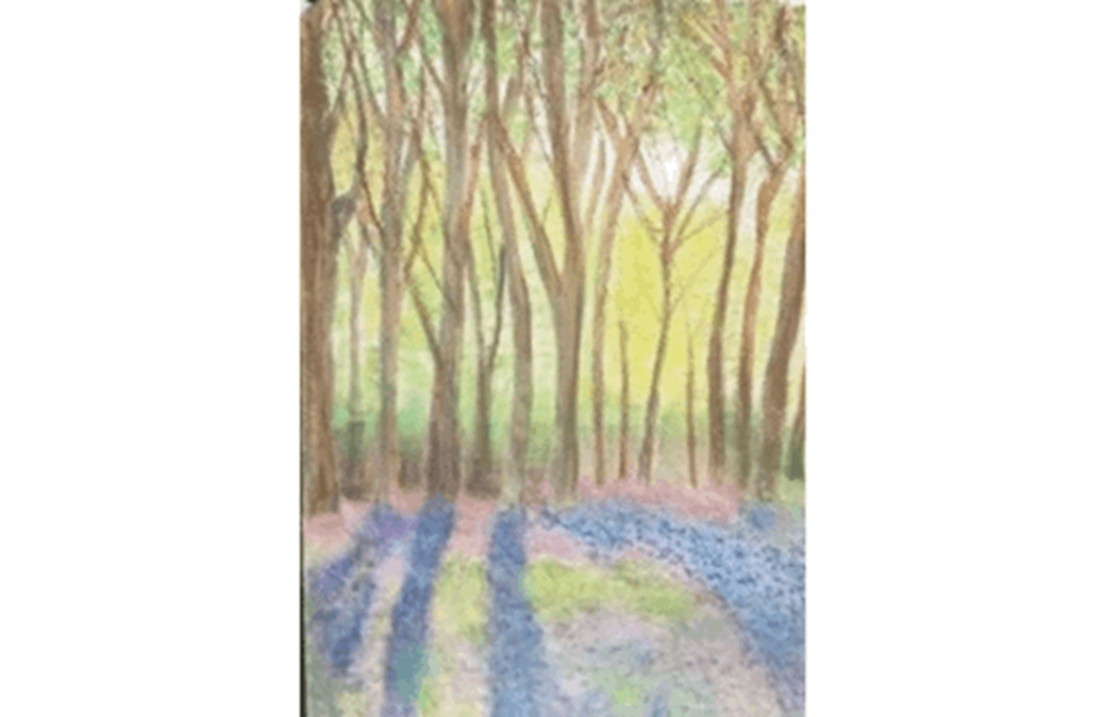 Drawing of trees and flowers in woods