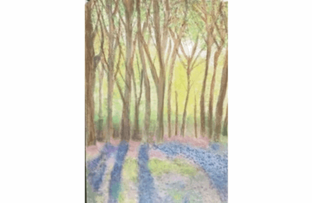 Drawing of trees and flowers in woods