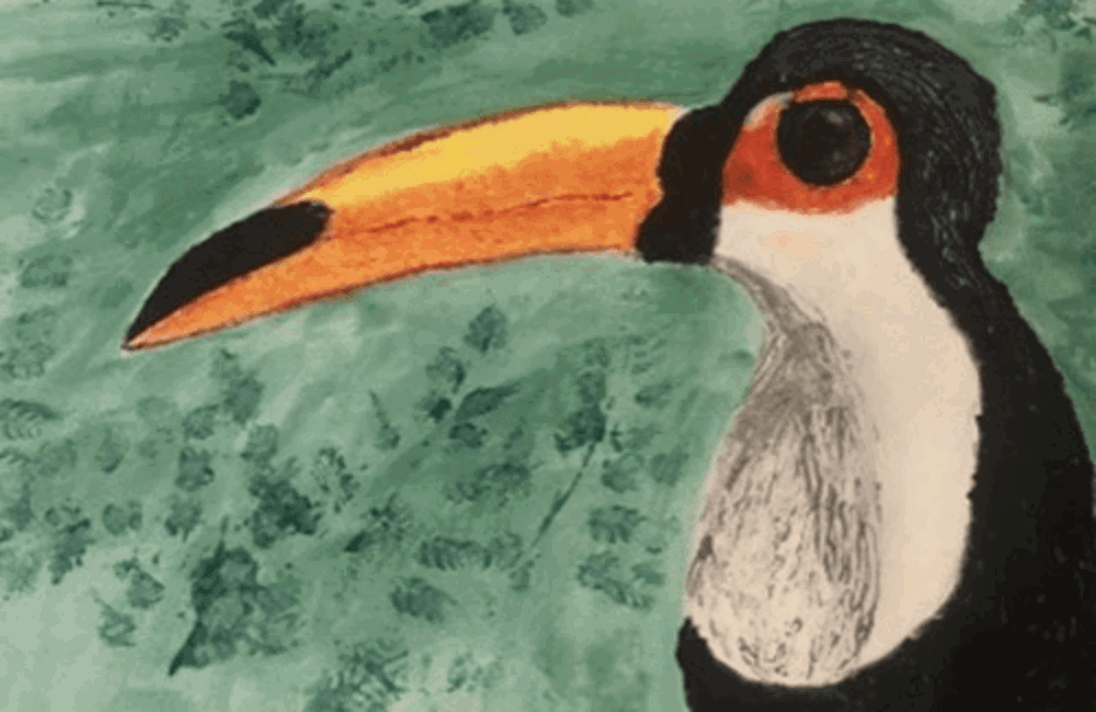 Painting of Toucan