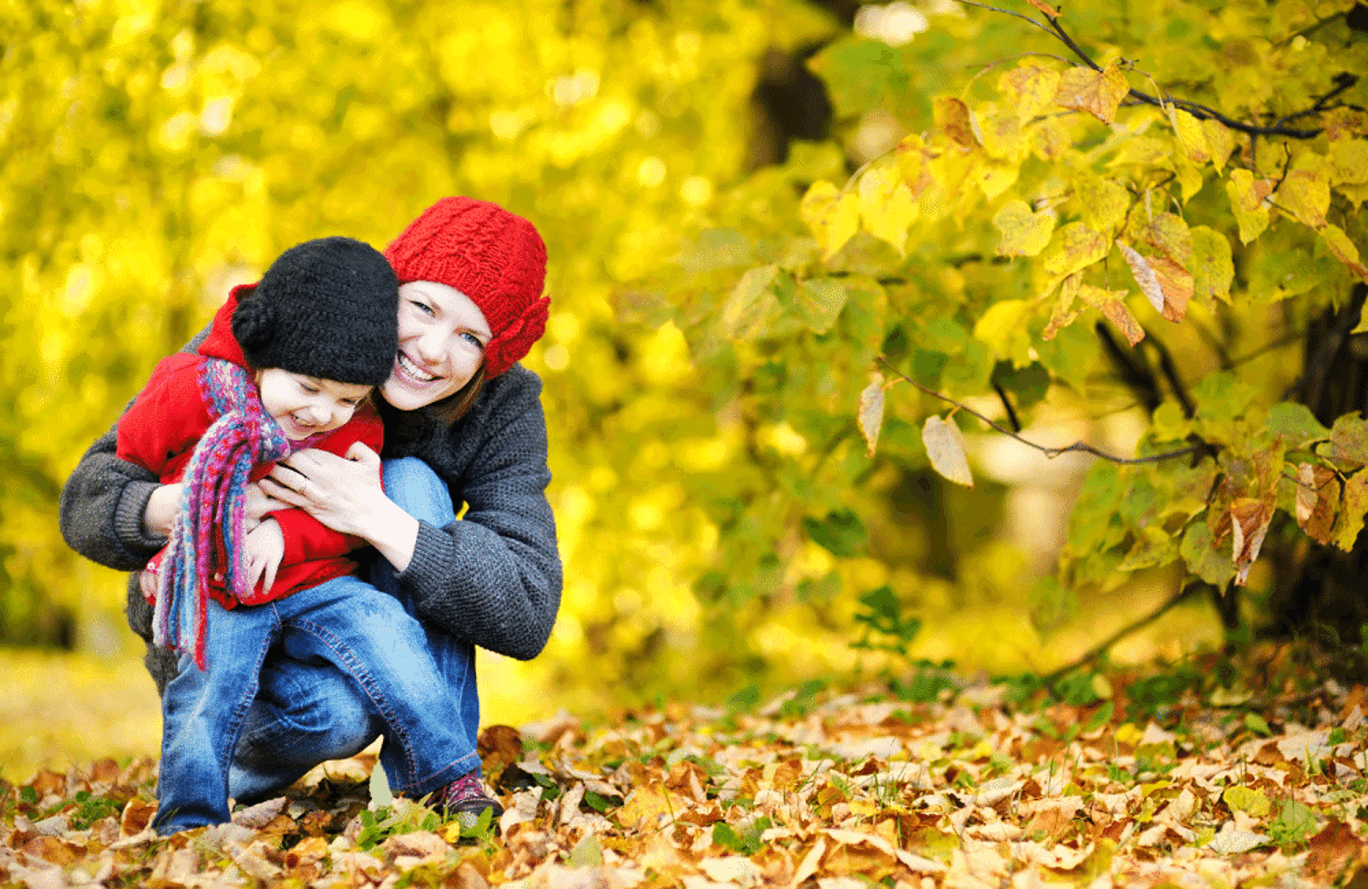 Parent and child in the forest