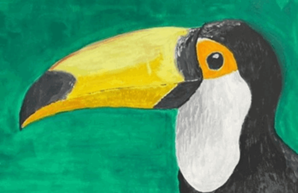 Painting of Toucan