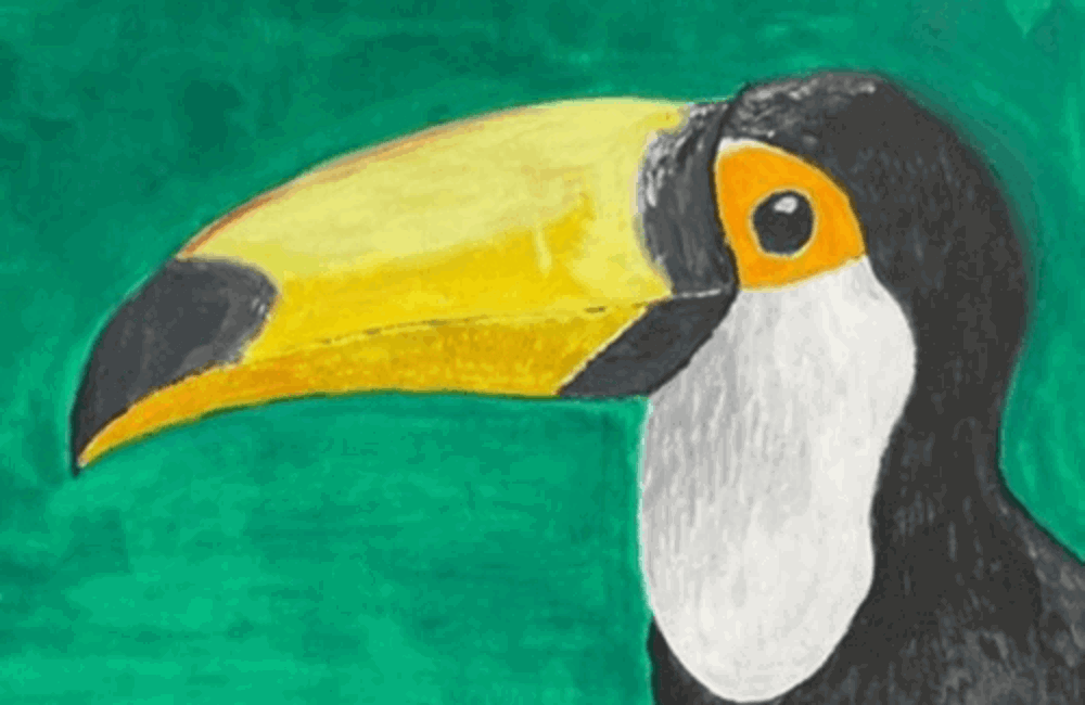Painting of Toucan