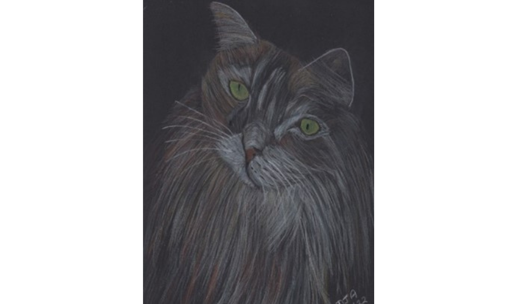 Drawing of a cat
