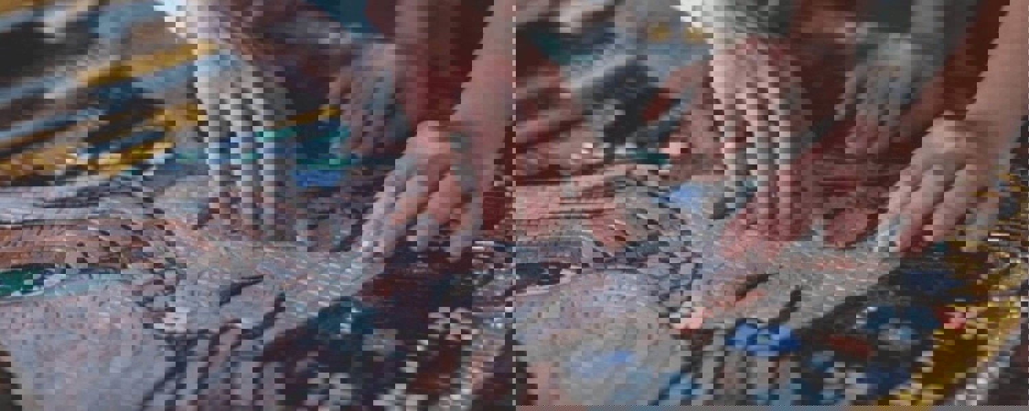 Person touching mosaic 