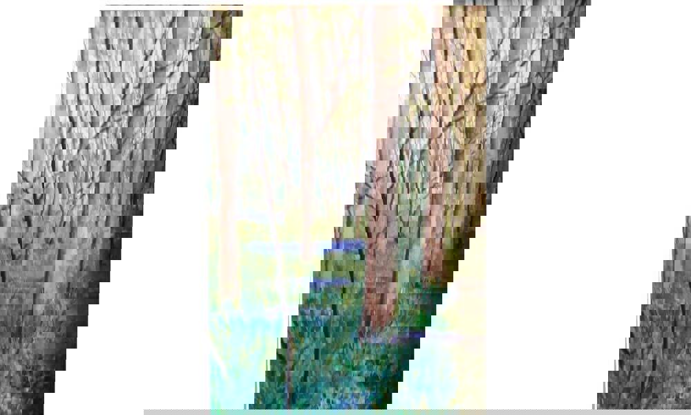 Watercolour painting of bluebells