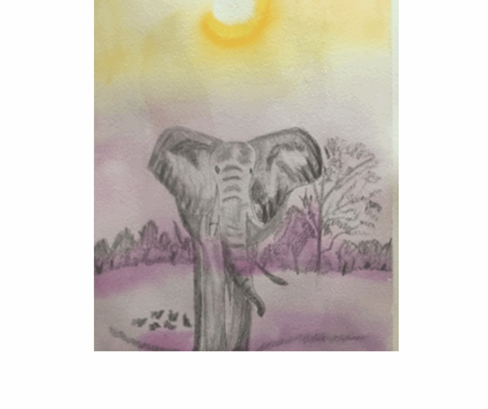 Drawing of elephant