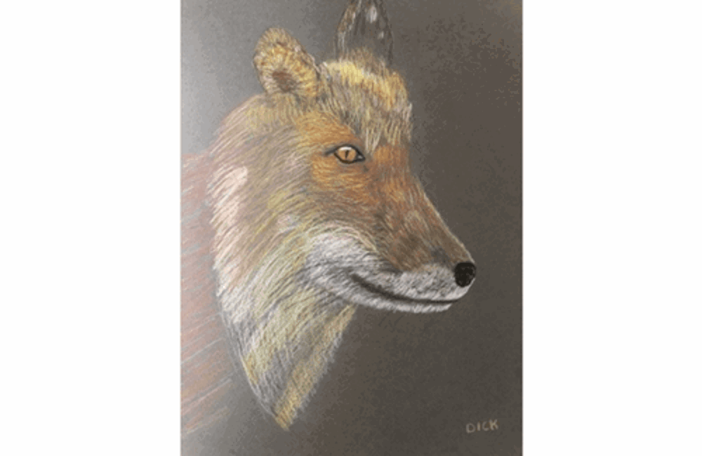 Drawing of fox
