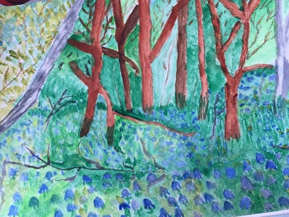 Learner painting of  woodland scene
