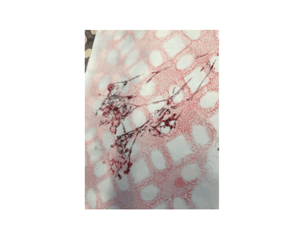 Printmaking floral art