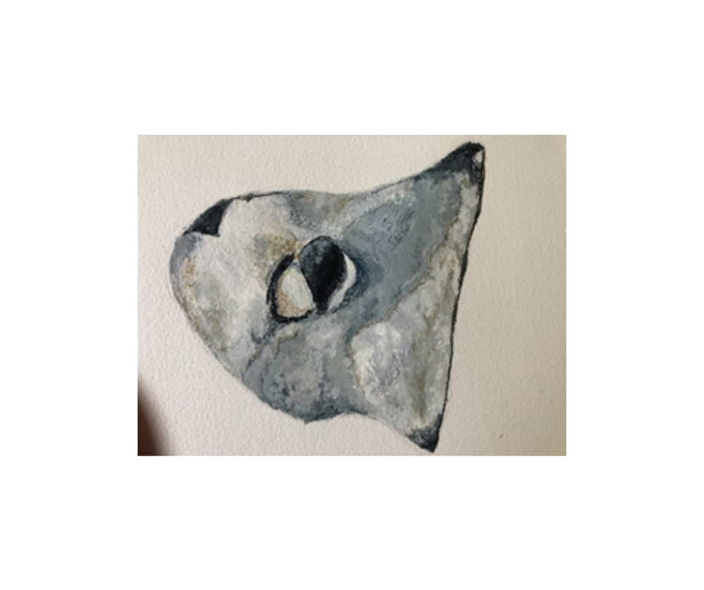 Drawing of rock