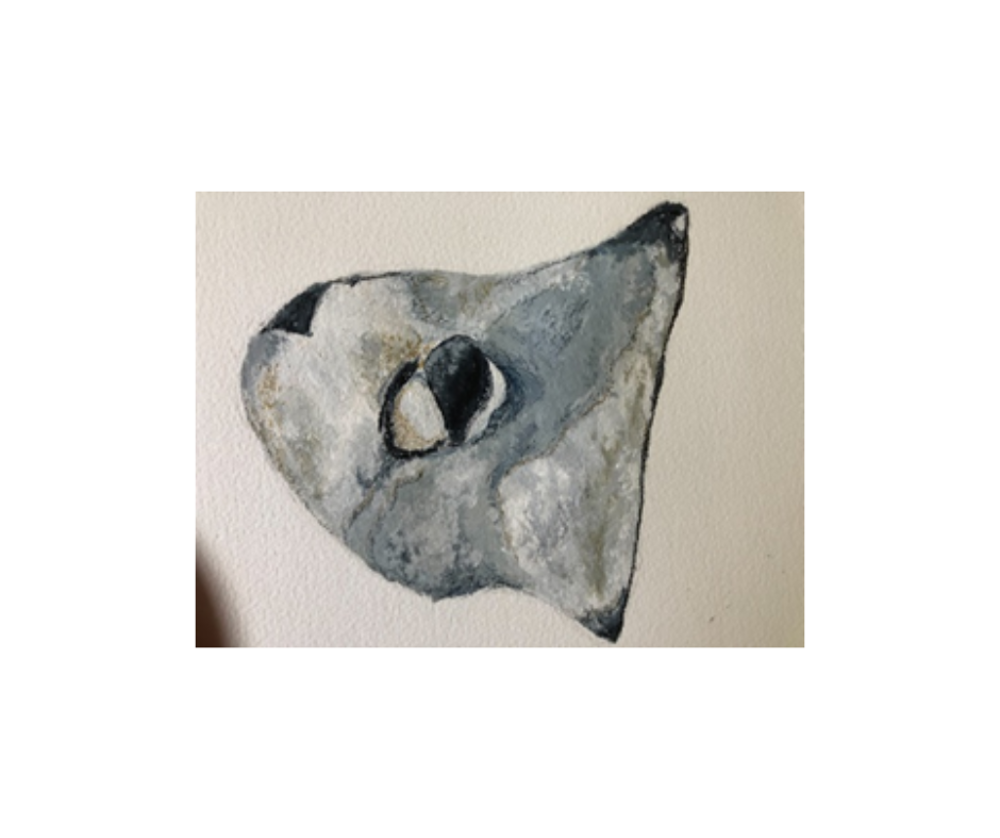 Drawing of rock