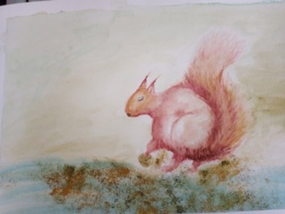 Watercolour painting of squirrel