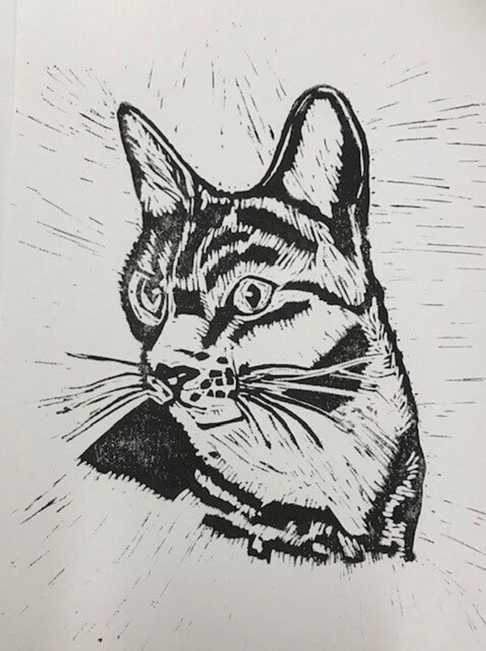 Printmaking cat art