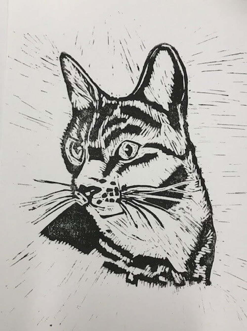 Printmaking cat art