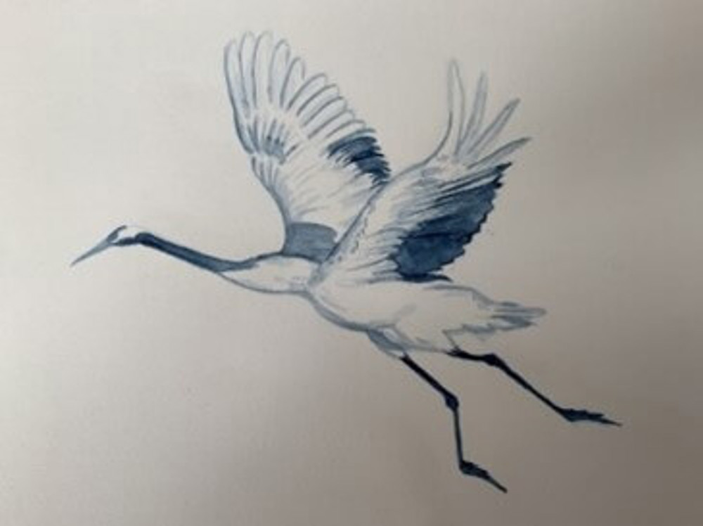 Watercolour painting of stork