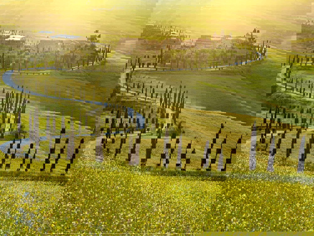 Winding roads in Italian countryside