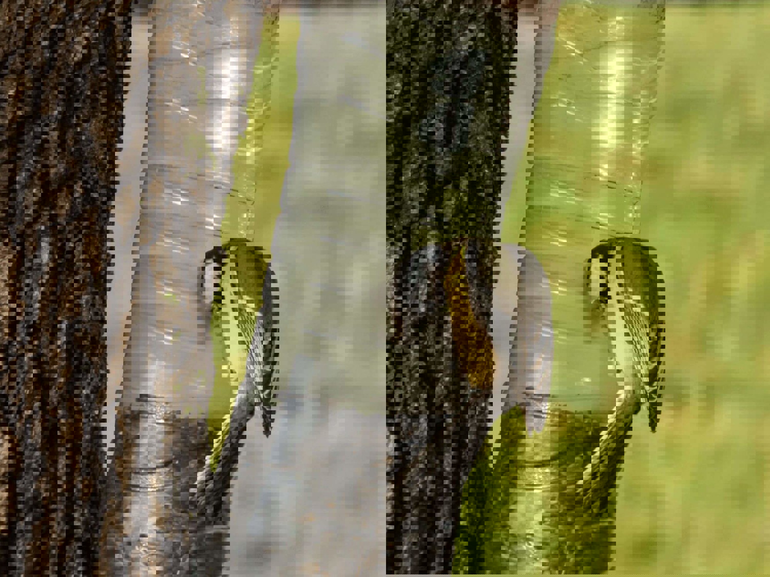 Handmade bird feeder with bird eating from it