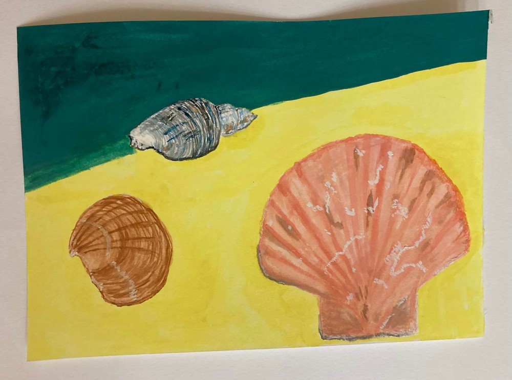Shells painting
