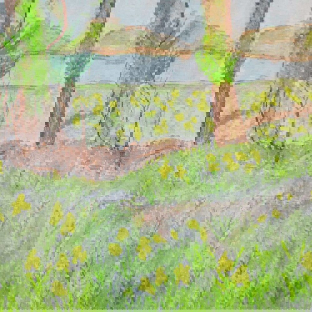 Learner watercolour painting of a landscape