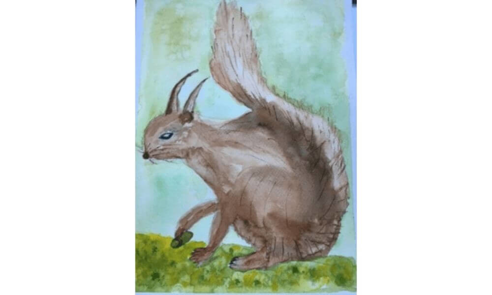 Watercolour painting of squirrel
