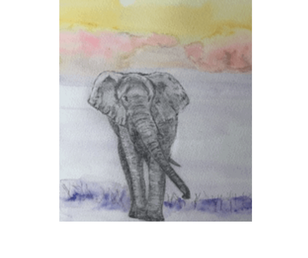 Drawing of elephant