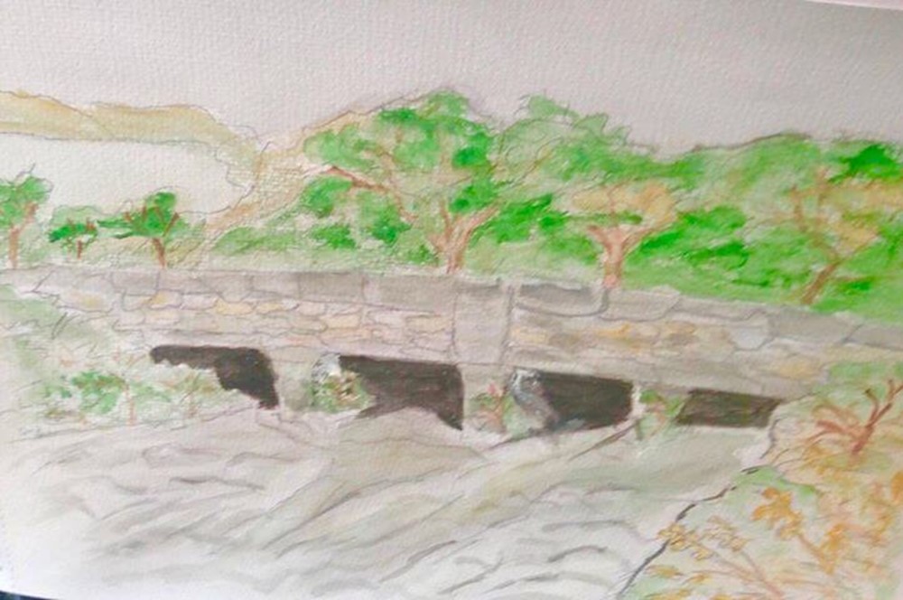 Watercolour painting of trees in field