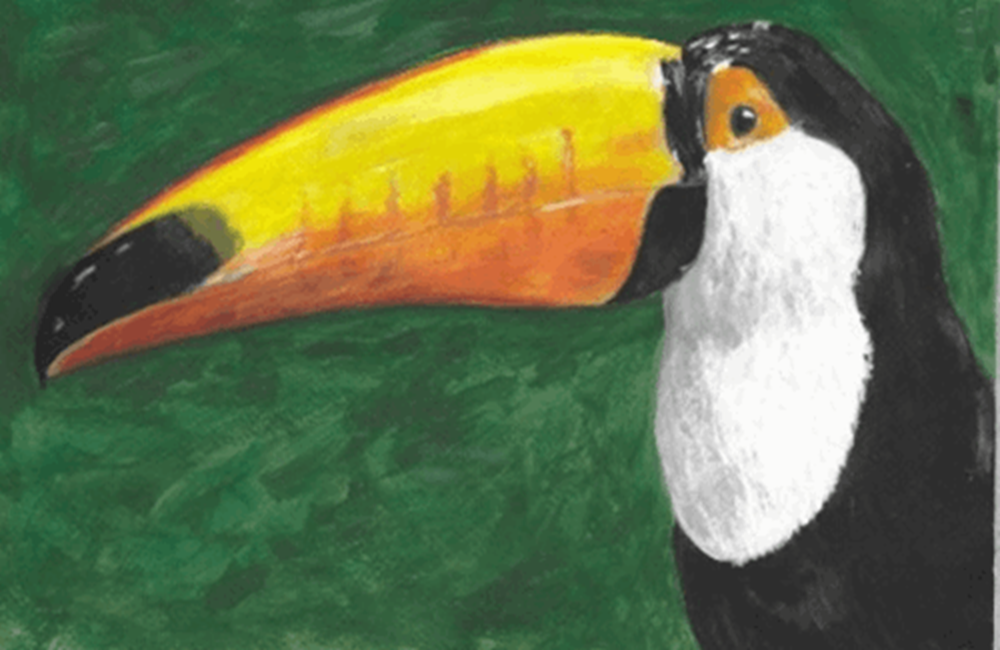 Painting of Toucan