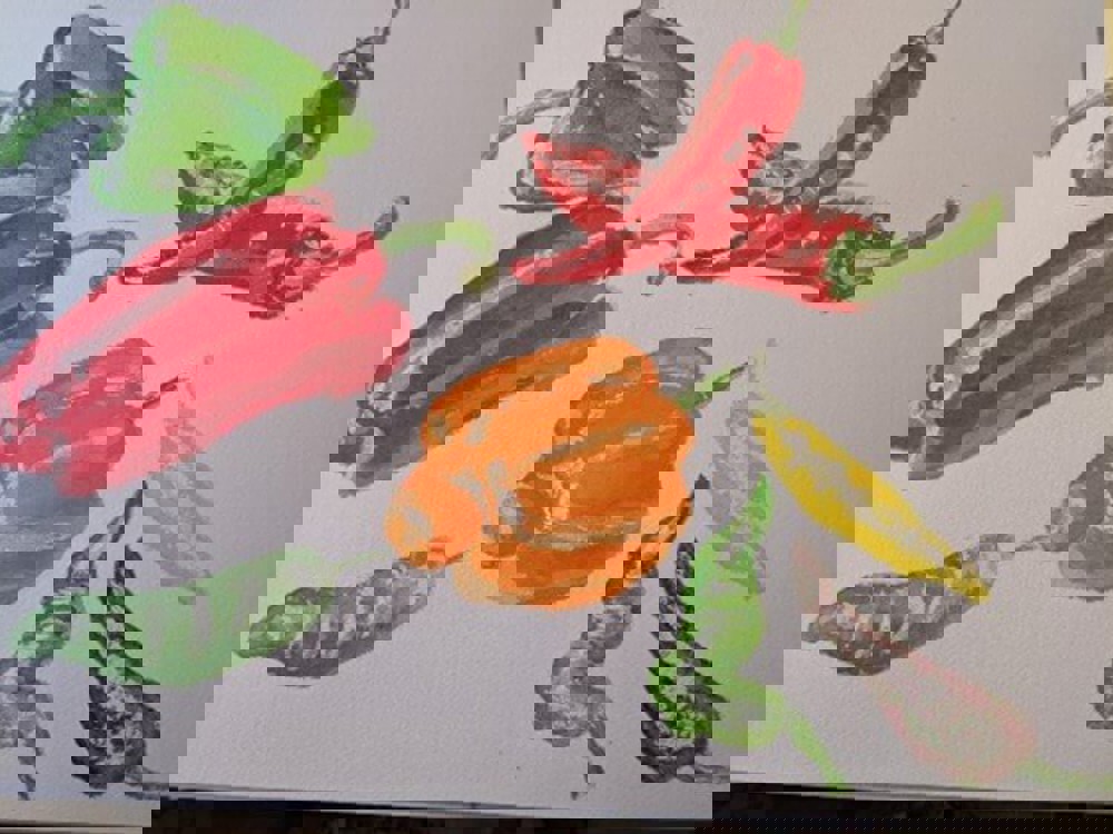 Watercolour painting of peppers