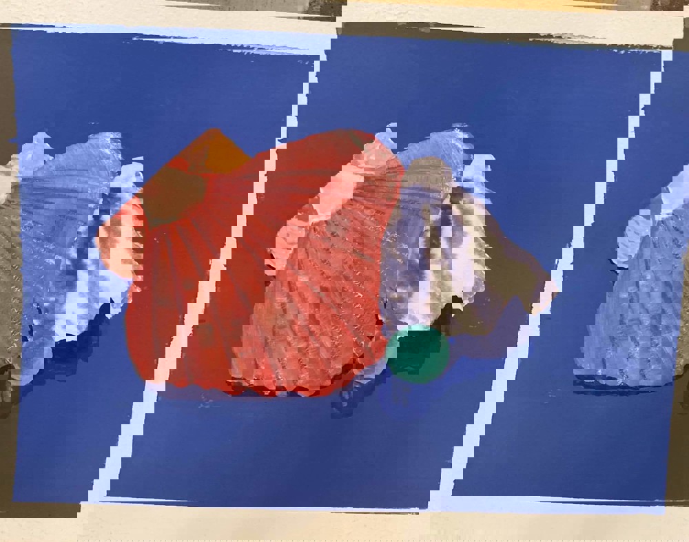 Painting of shells 