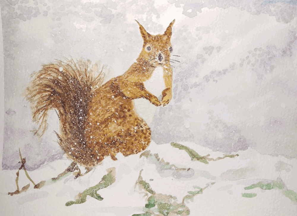 Painting of squirrel 