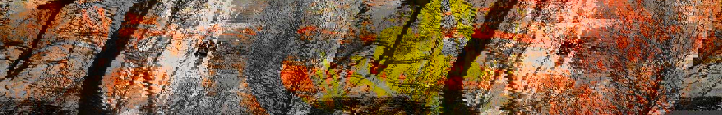 Vibrant mixed media art