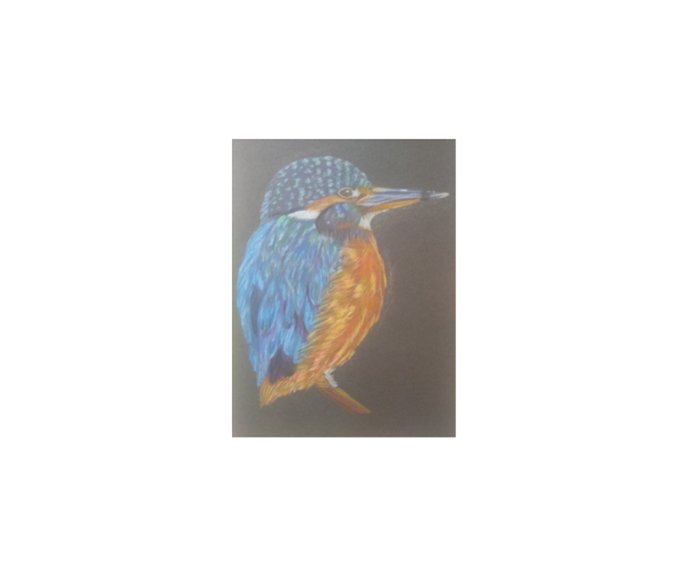 Drawing of bird