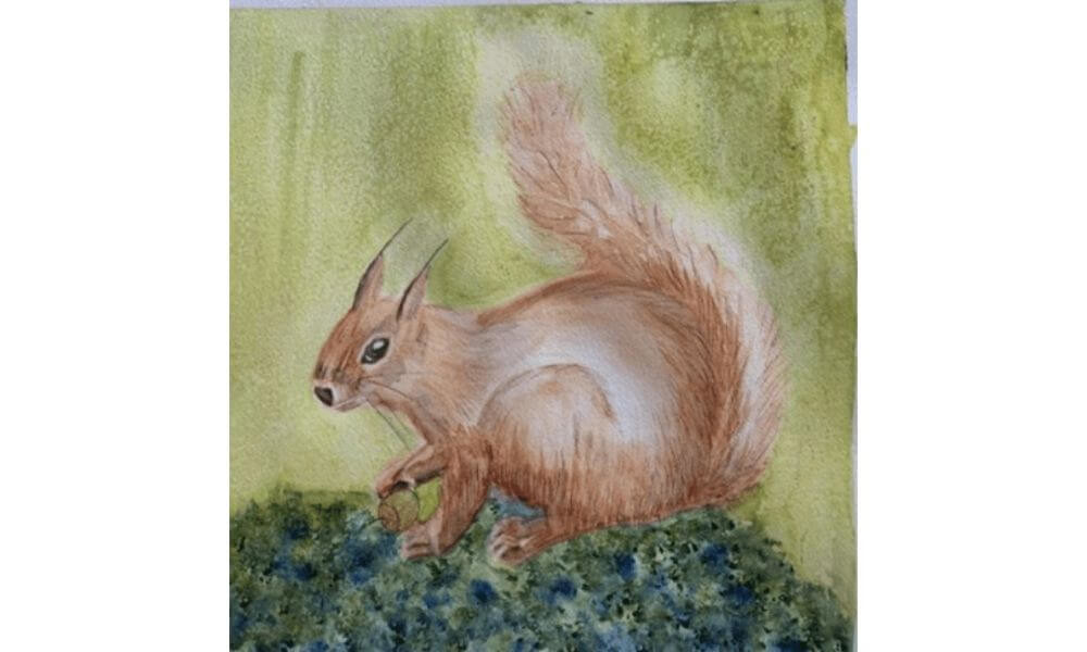 Watercolour painting of squirrel