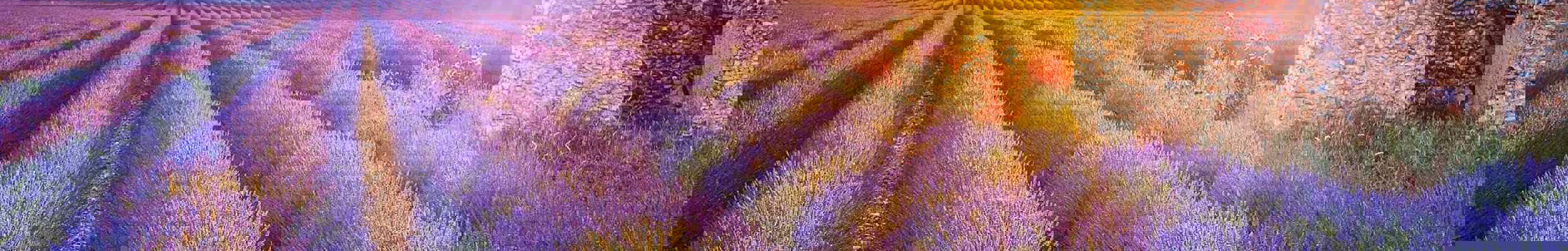 French countryside landscape