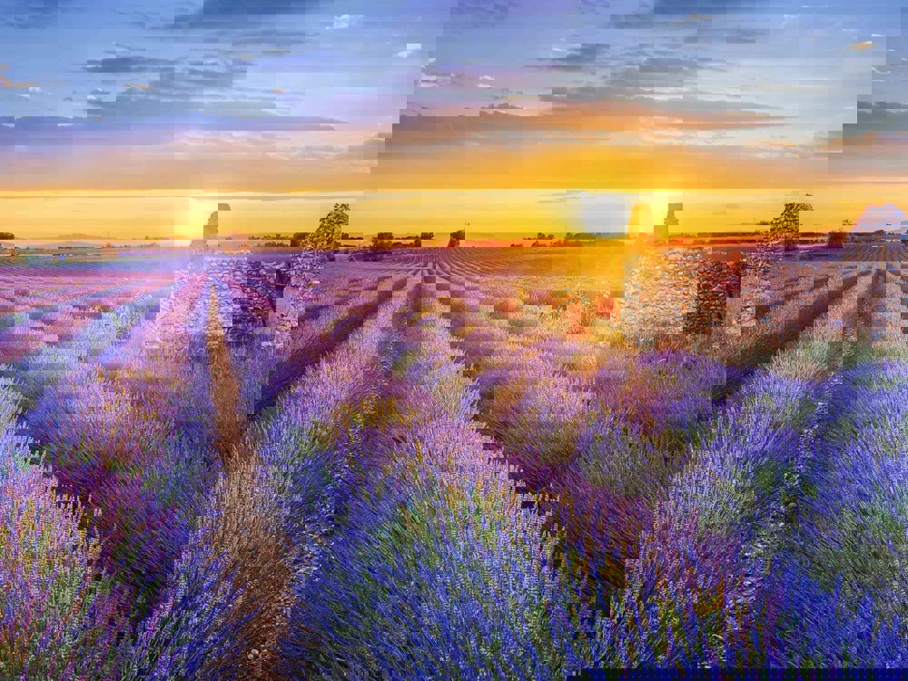 French countryside landscape