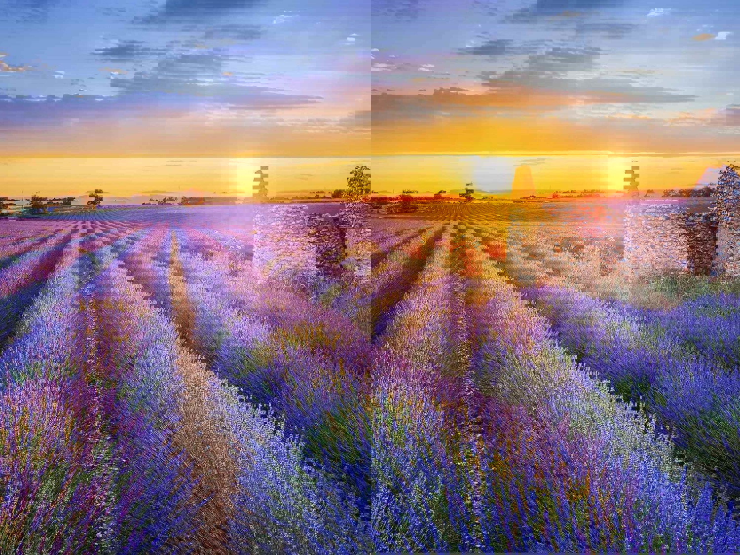 French countryside landscape