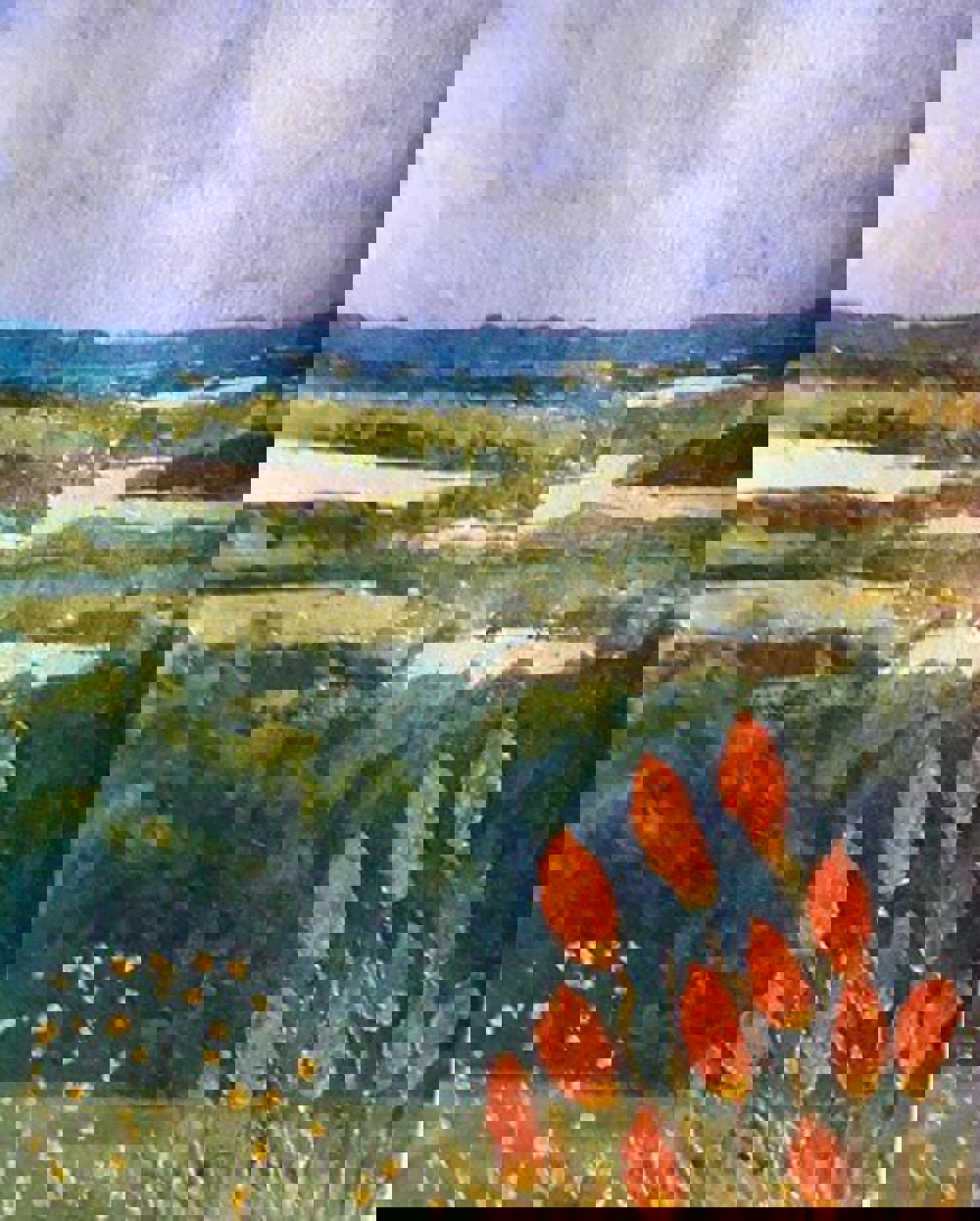 Watercolour painting of field