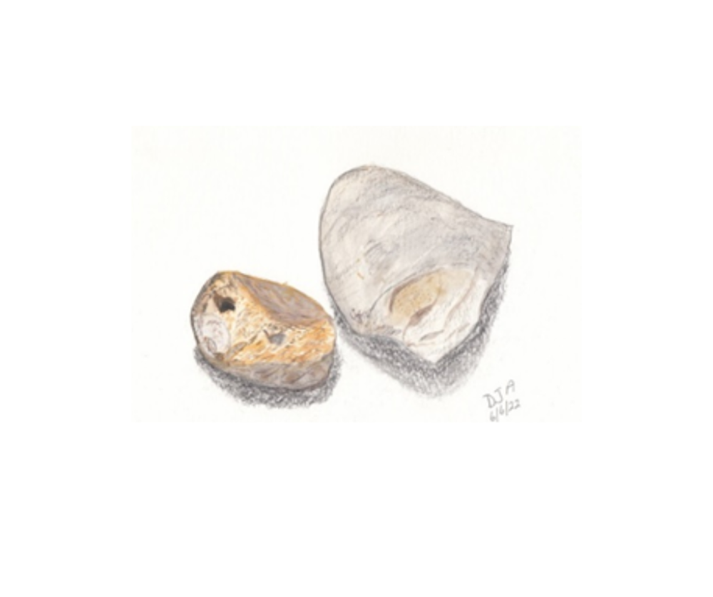 Drawing of rocks