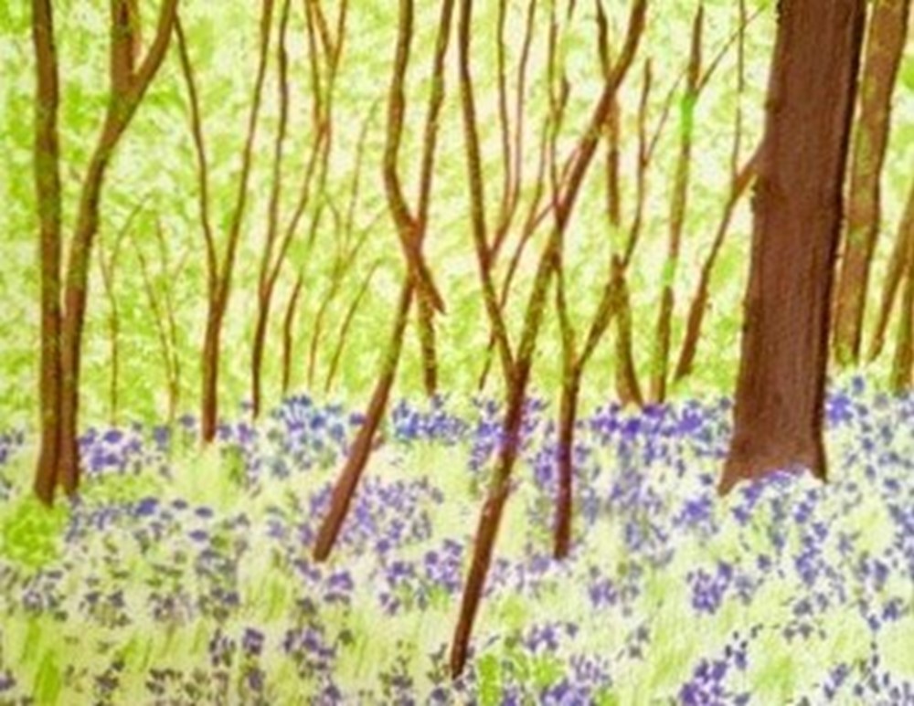 Watercolour painting of bluebells