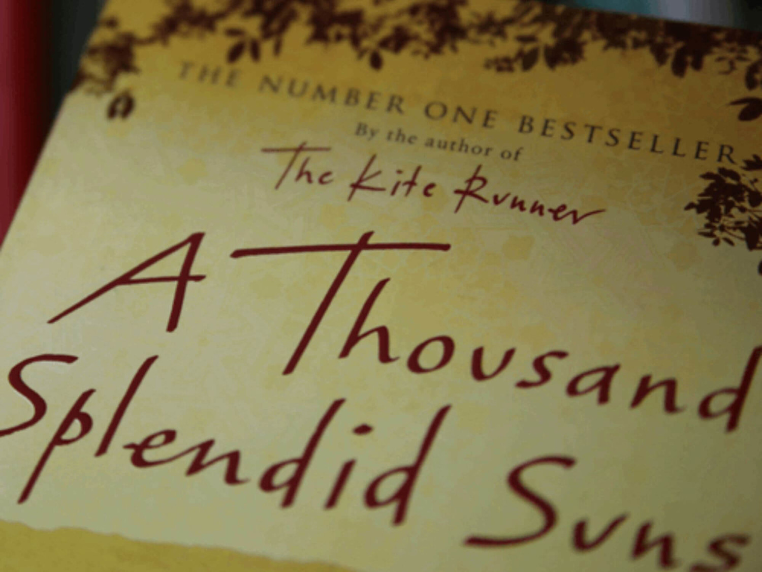 A Thousand Splendid Suns book cover