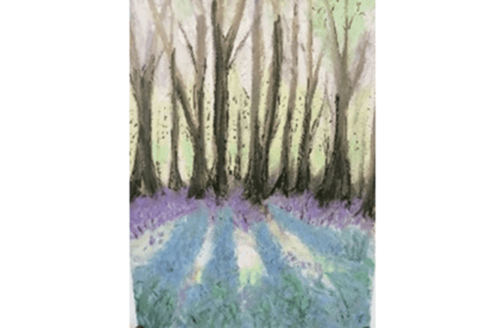 Drawing of trees and flowers in woods