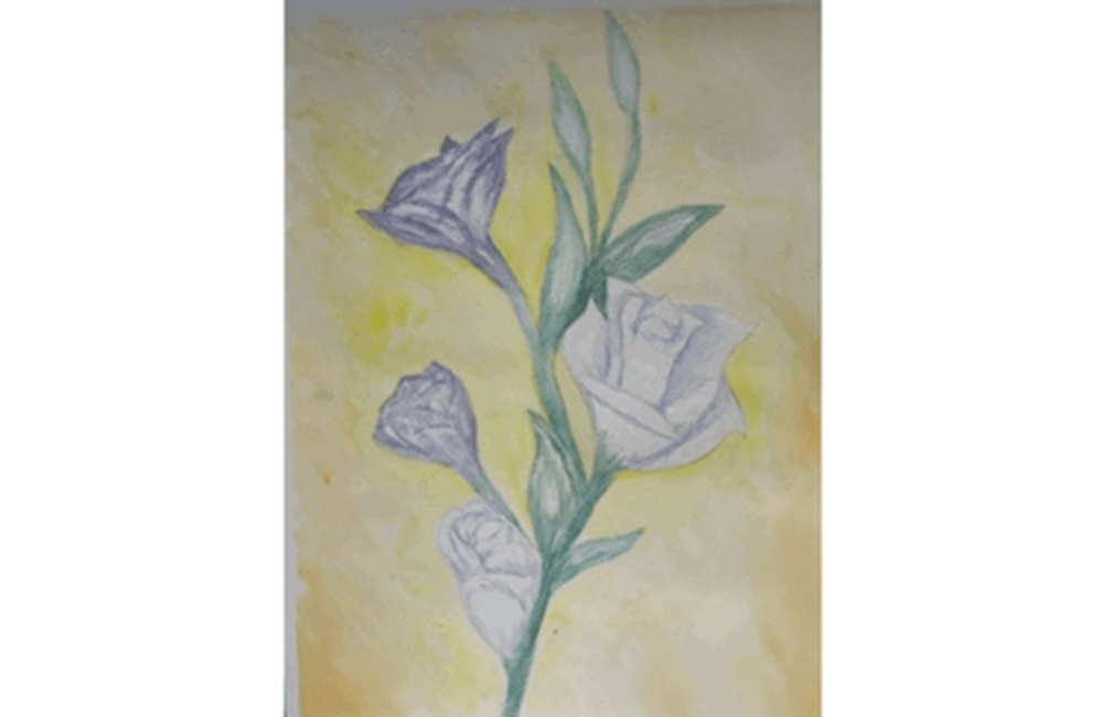 Drawing of blue and white roses