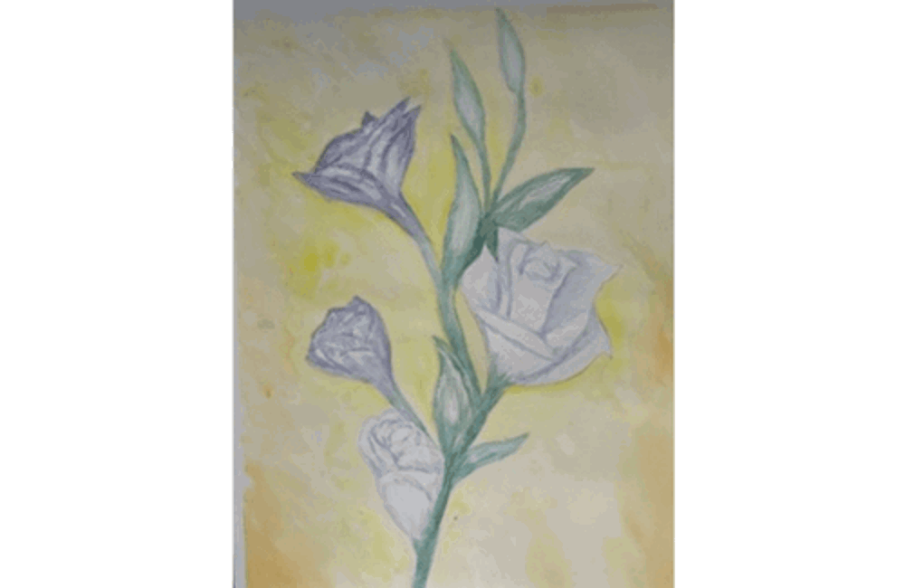 Drawing of blue and white roses