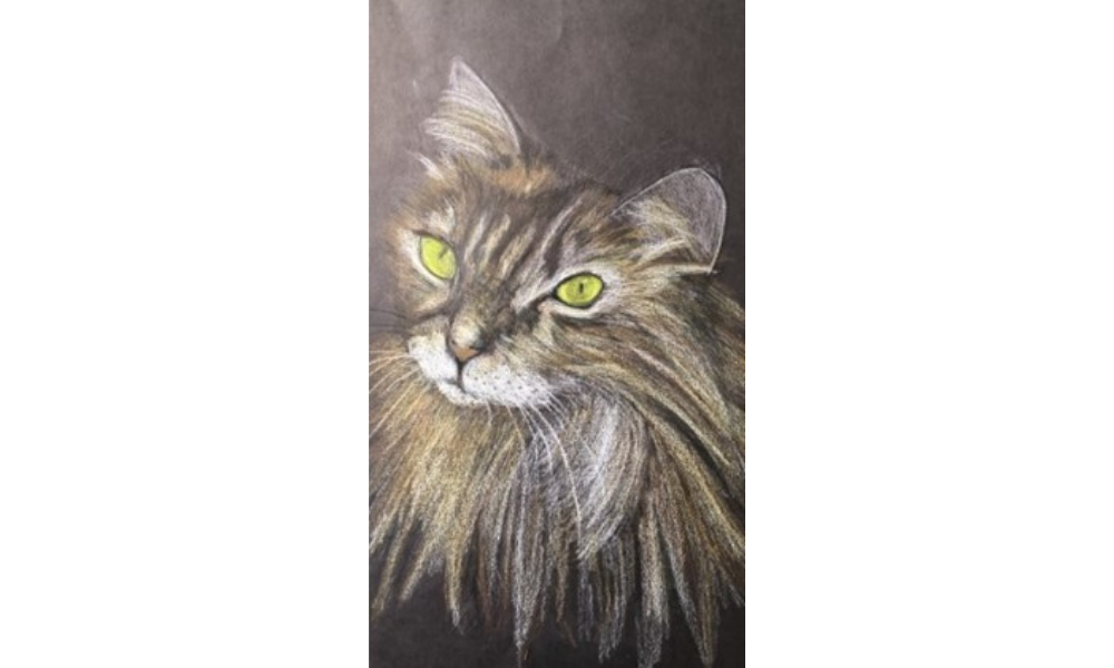 Drawing of a cat
