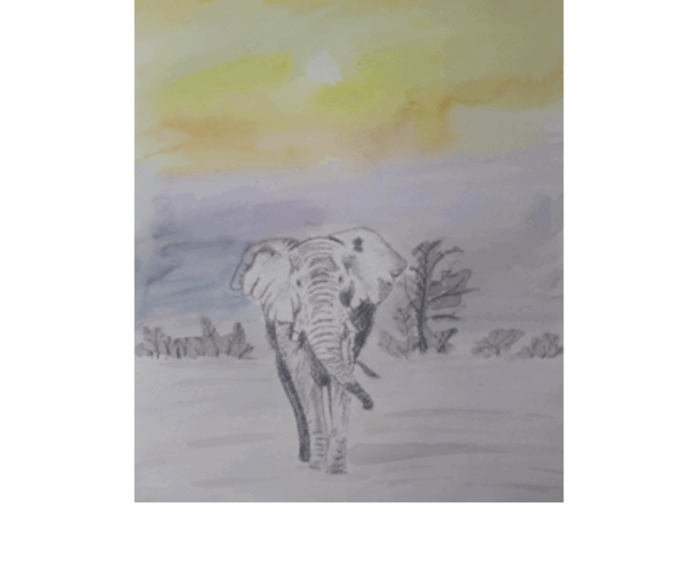 Drawing of elephant