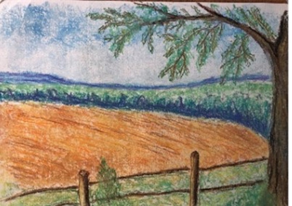 Drawing of field