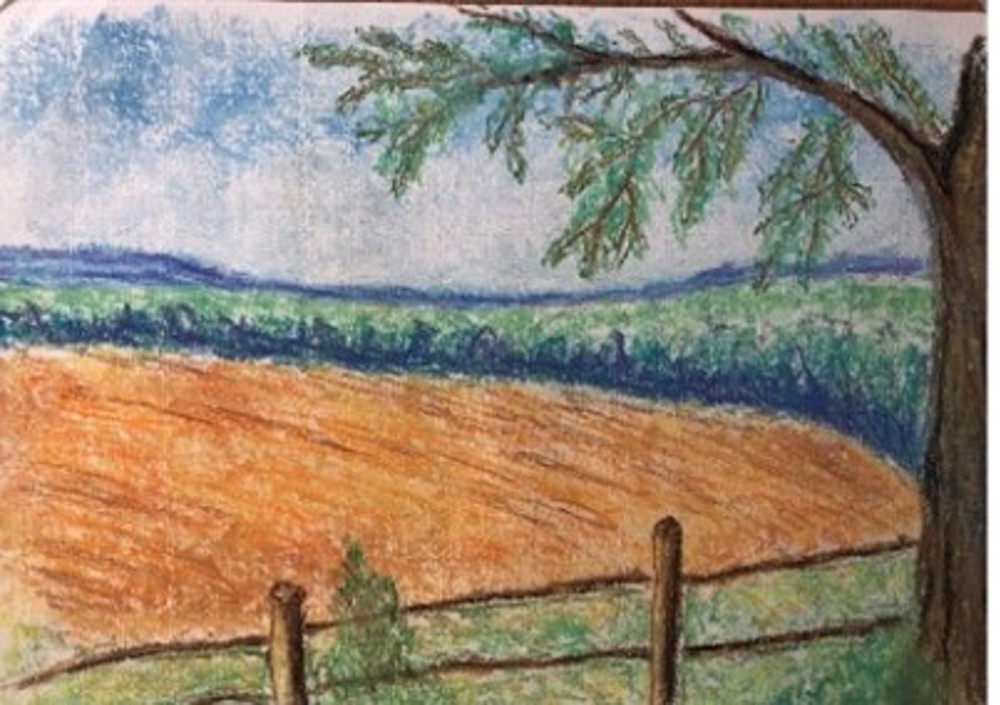 Drawing of field