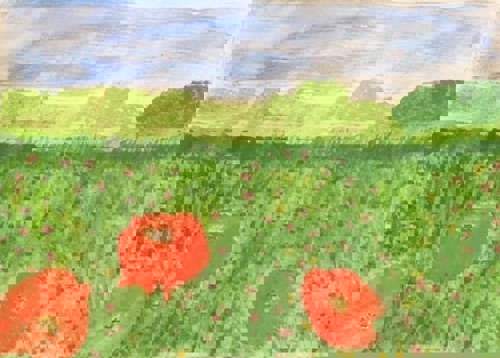 Watercolour painting of poppies