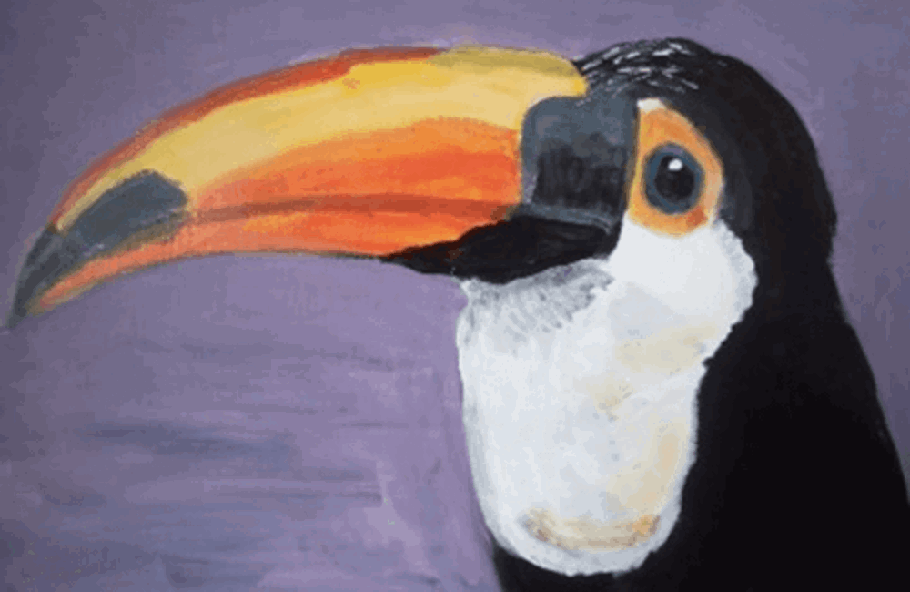 Painting of Toucan