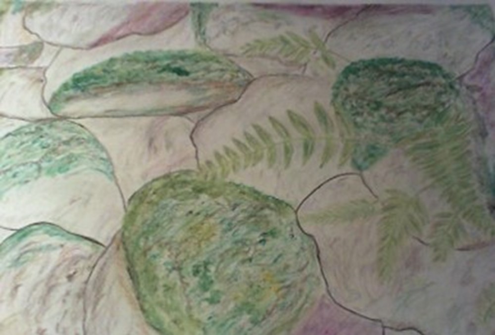 Drawing of rocks and leaves